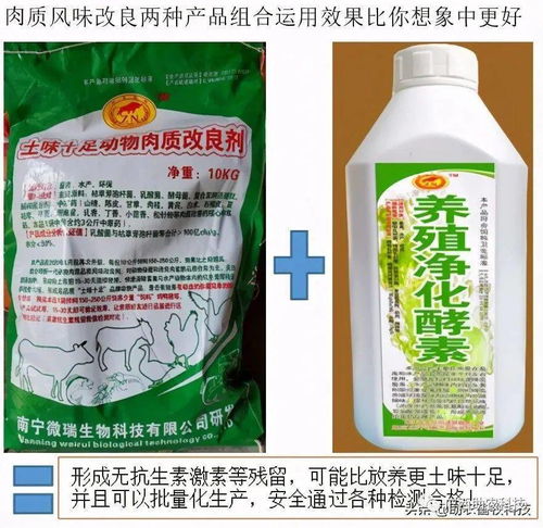 自然草药驱虫剂