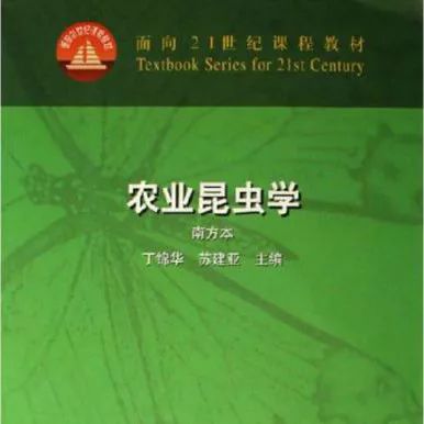 掌握种子保存技巧，轻松识别优质种子！