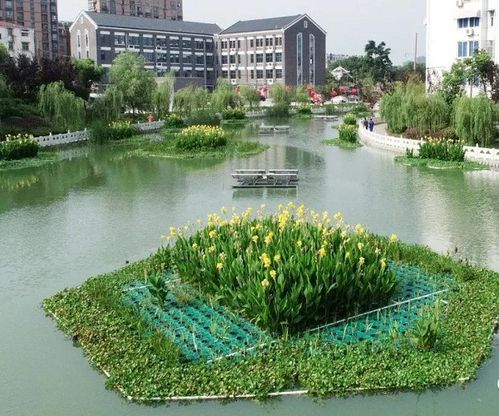 编篱：打造独特景观