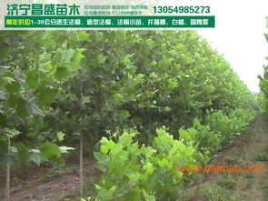 工钱的多少，像风一样