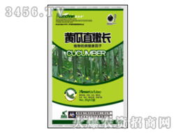 联农瑞丰德集团：农资经销商的宠儿