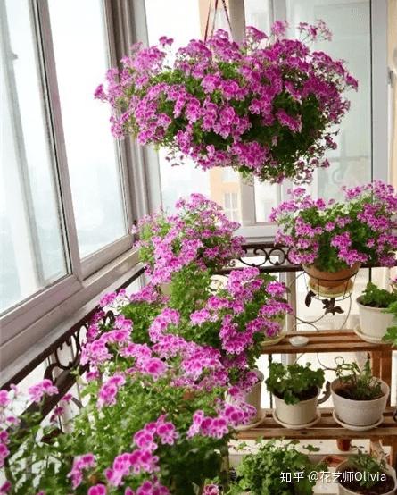 布局有妙招， 空气清新度提升58%