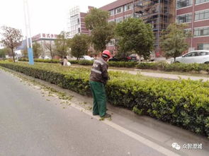 三月份城市道路园林绿化养护管理要点