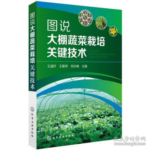 大棚种植蔬菜需要哪些关键技术和管理方法