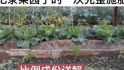 楼顶种菜，地下施肥