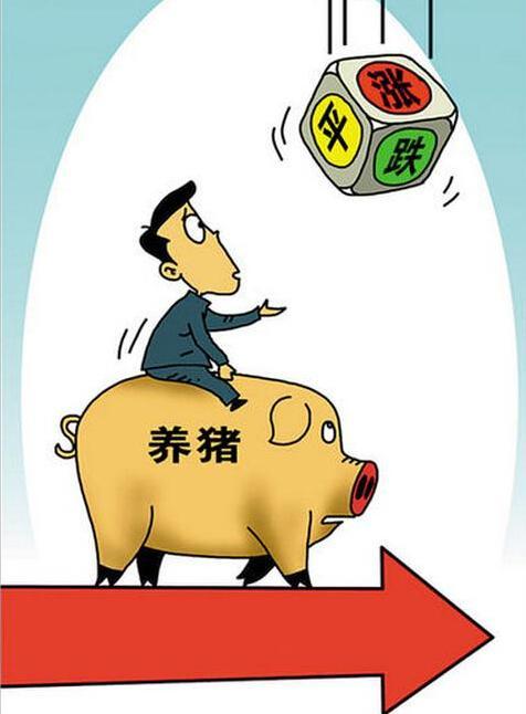 2026年8月24日猪价下跌，2026年猪饲料低价位是否会影响养殖户的利润？