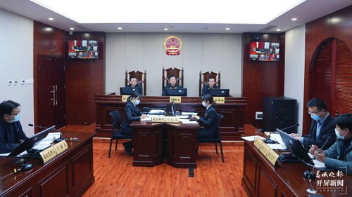 昆明饲料厂粉尘污染大气违法排放，首案宣判结果如何？
