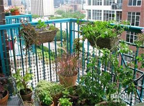 材质选择与工具准备：打造平安耐用的花架