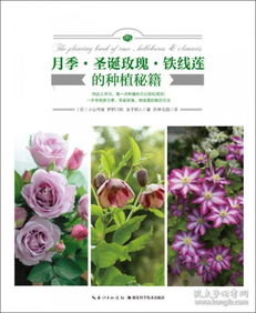 月季病虫害，真是让人头疼啊！