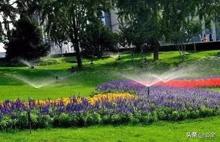 园林植物的灌溉，你懂吗那个？