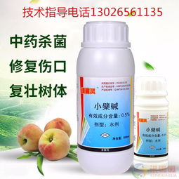 《常见病虫害防治药剂简述》中提到的农药