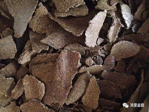 茶籽饼富含生物碱，能有效防治鱼类疾病