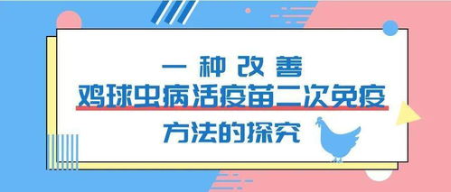 鸡球虫病防治策略研究