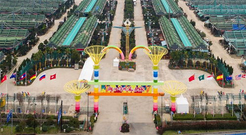 总体规划与布局