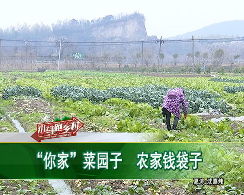 选地与埋种：重楼种植的起点