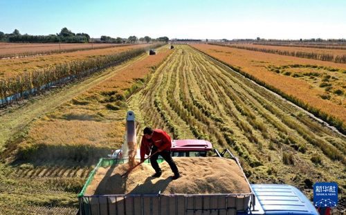 破口期后的等待