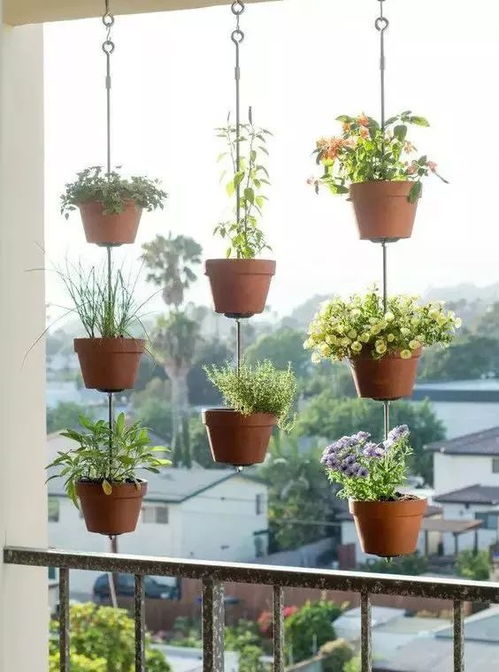 门前种花驱蚊的重要性