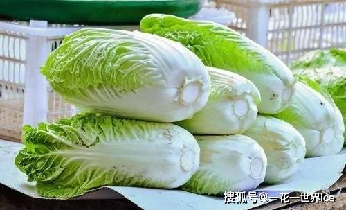 白菜腐烂的烦恼，我来告诉你怎么办！