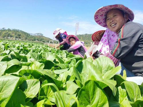 使用方法：讲究细节