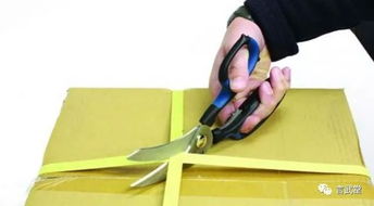 开椰子的小窍门， 不用刀也嫩轻松剥开椰子肉