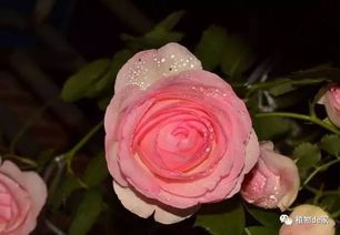 kankan这个，好开心啊！