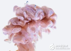 玫瑰花一般在清晨几点开放？教你如何准确判断玫瑰花的开放时间