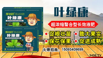 产品质量：就像家里的老布鞋