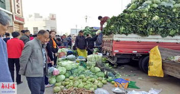 土豆：地下的宝藏