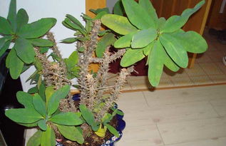 废弃物改过秘籍