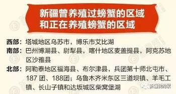 核心产品， 了解一下