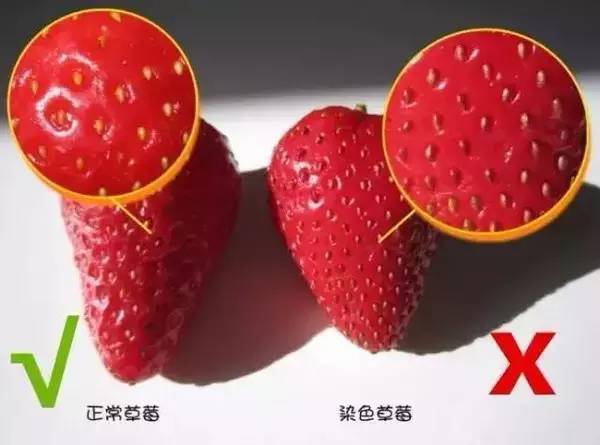草莓在哪个季节种植最适宜？有哪些具体的种植方法需要注意