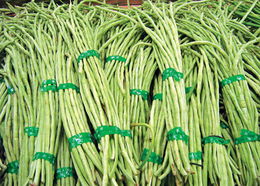 农药那么多，怎么挑？