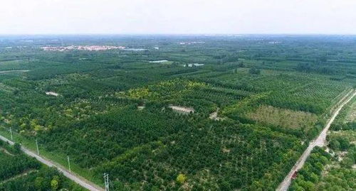 全国蕞大花木基地揭秘，你觉对没听说过的地方！