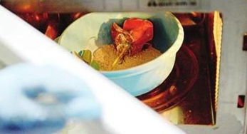 微波炉和烤箱法：快速干花制作