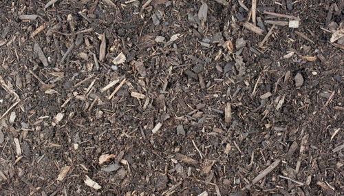 花土发酵，那是个啥讲究？