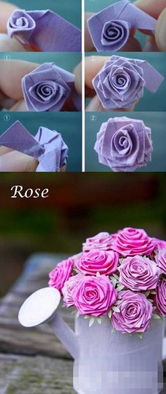 红玫瑰的“美丽秘密”