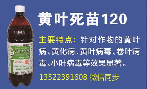 如何将土壤调整为微酸性？这样做有什么好处