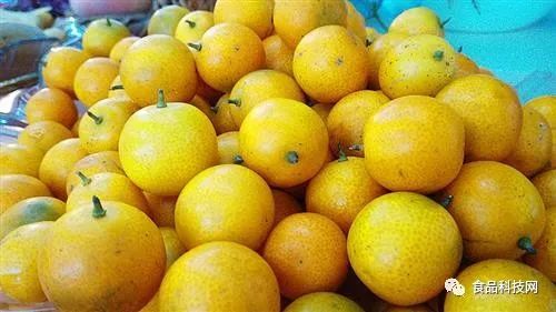 金桔是凉性还是热性食物，对肠胃有影响吗