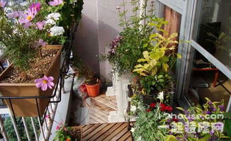 花架的魔力：塑造阳台花园的基调