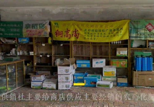 寻找那神秘的5升装农药桶