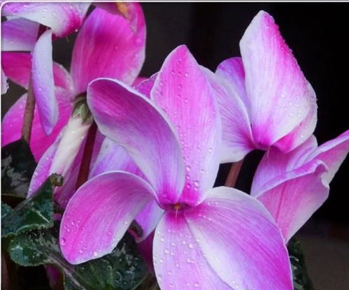 避雷针：注意事项