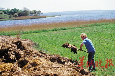 丹麦农业，真的wan全不使用化肥和农药吗？