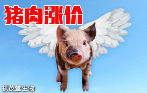 猪牛价腾飞，如何让百姓餐桌上肉价亲民