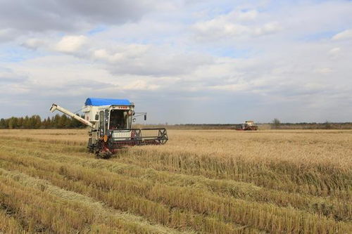 农药的种类和用量