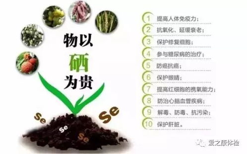 猪饲料中常见的微量元素有哪些？其具体配方是怎样的？