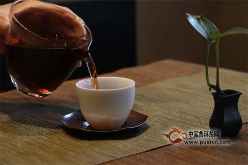 阿里山茶有哪些主要类型和品质特点