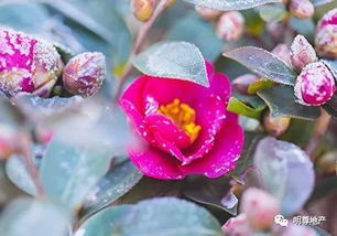 种子处理要细心