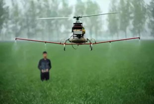 干旱喷农药，技巧要掌握