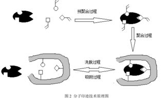 免疫传感器检测，听起来高大上