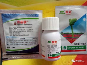 小麦拌种的神奇力量